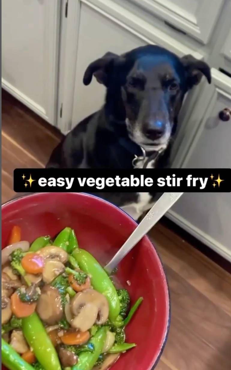 Bowl of vegetable stir fry with dog in background